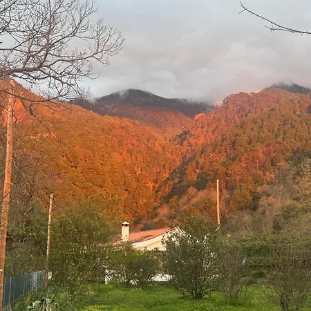De La Montana - Chalet Santa Cruz de Tenerife