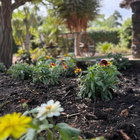 De La Montana - Chalet