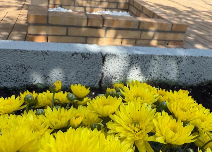 De La Montana - Santa Cruz de Tenerife