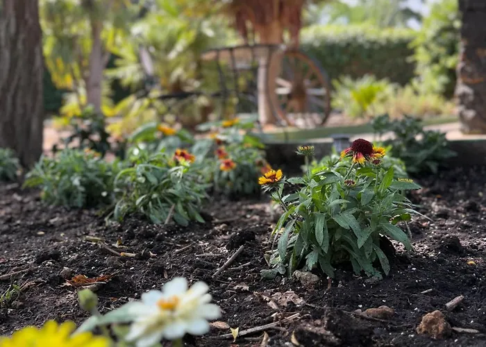 De La Montana - Chalet