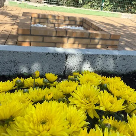 De La Montana - Santa-Cruz de Ténérife